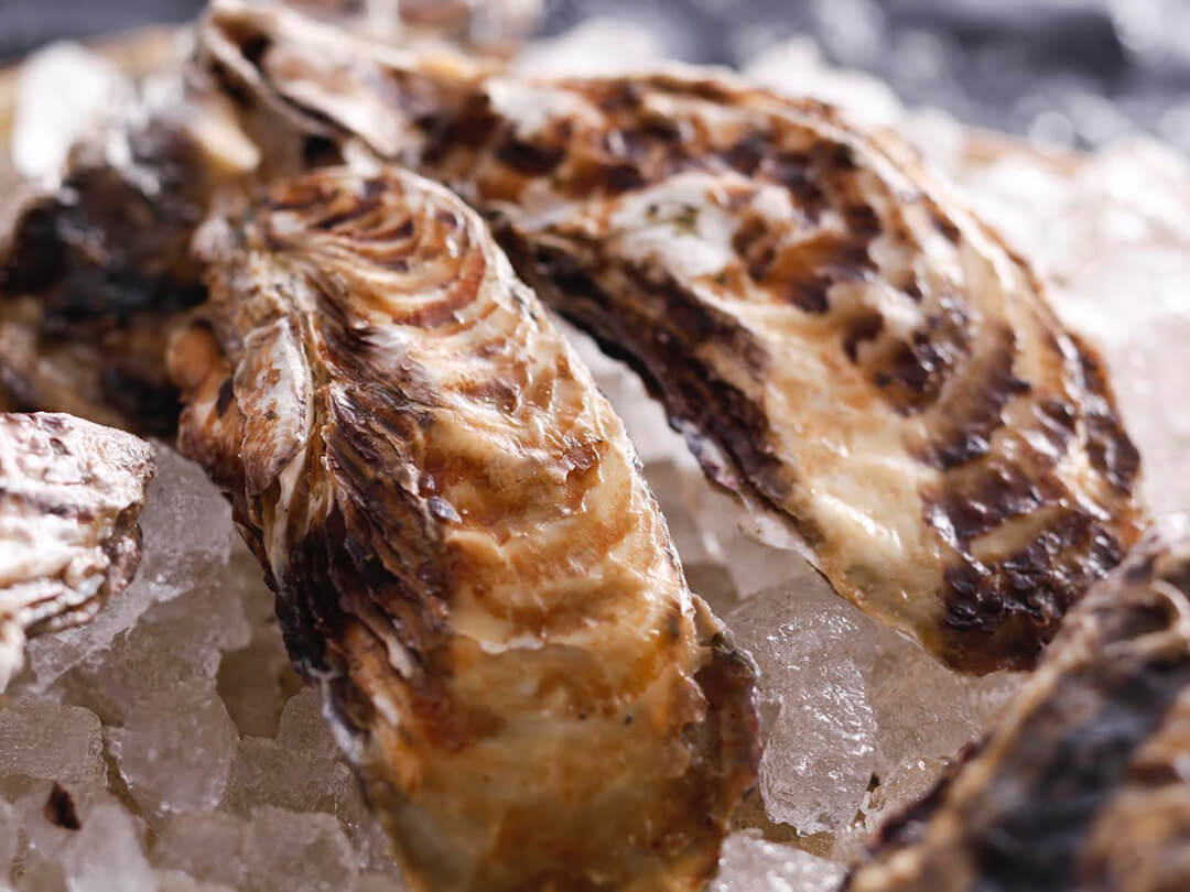 ニコラボの煮込み料理写真40