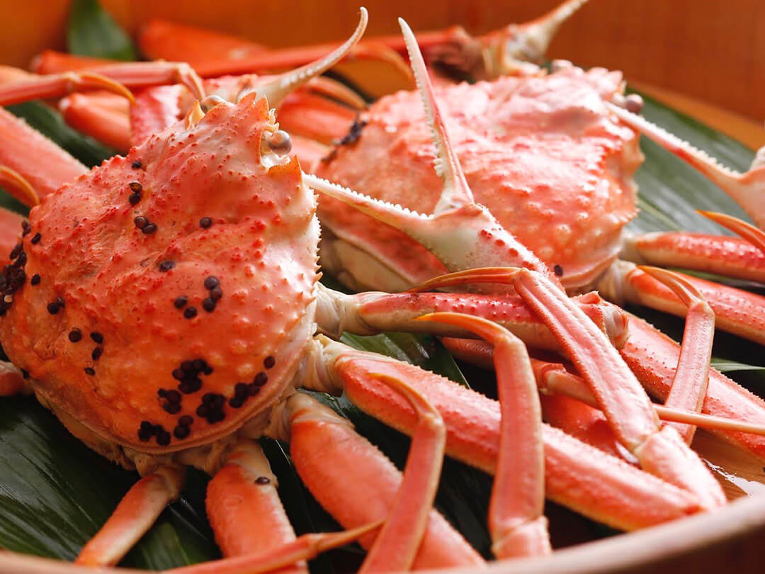 ニコラボの煮込み料理写真41